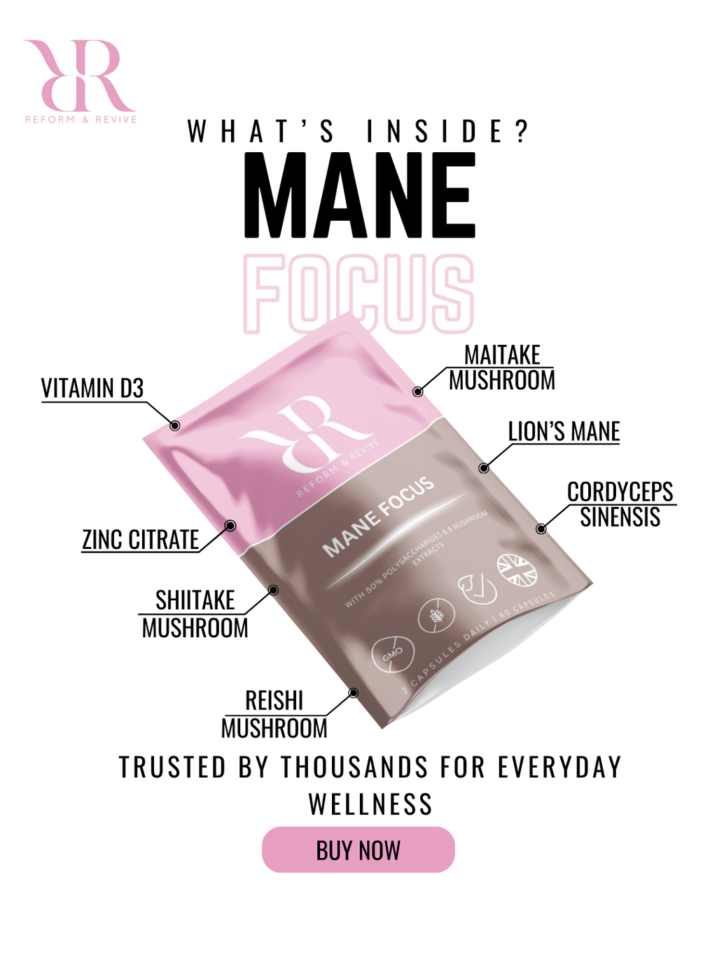 Mane Focus+ Clarity & Cognitive Support