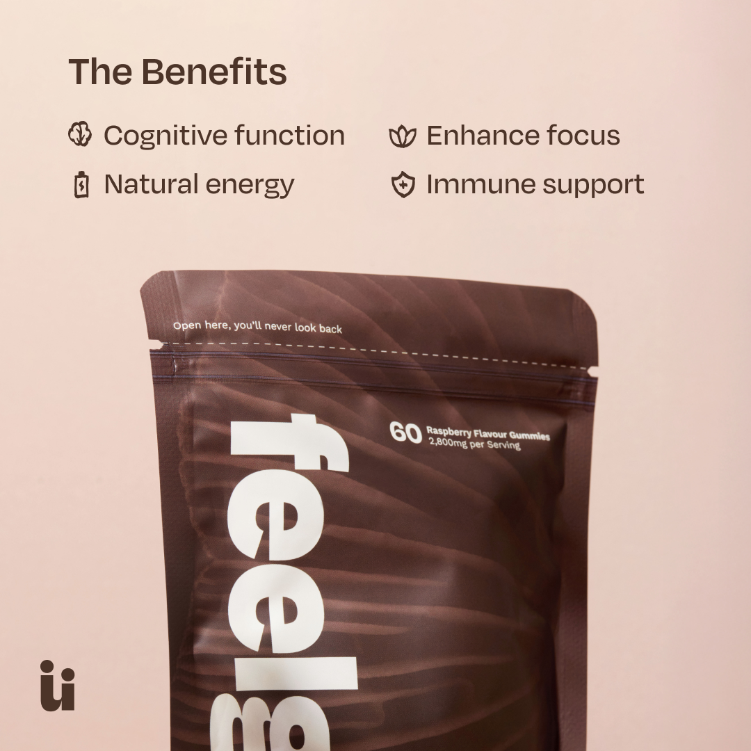 Calm + Focus Bundle